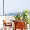 Chaise Tribeca 3665 Pedrali Mobilier Toulouse
