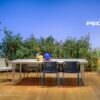 chaise babila twist Pedrali Toulouse mobilier